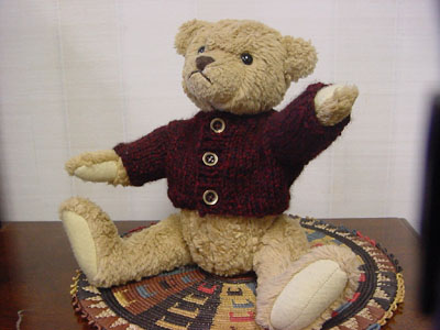 aelfric eden teddy bear sweater